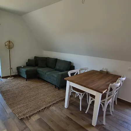 Martinus Vendeghaz Apartment Tagyon Exterior photo